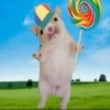 Tiktok Memes 13