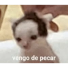 Y si 7