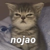 nojao