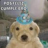 Cumpleaños Feli :D🥳 10