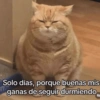 Solo días, porque buenas mis ganas de seguir durmiendo