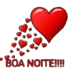 BOA NOITE!!!!