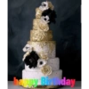 Happy Birthday cake 11