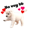 Super tiernos ❤️ 5