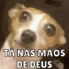 PRA USAR NO ZAP 😜 14