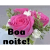 Boa noite Flores 20