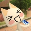 🐱 Hungry Toro Cat 🤍 4