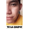 Obligame perro 13