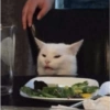 GATOS LOCOS 2 5