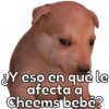 🐶Cheems Bebé🍼 21