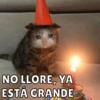 Cumpleaños Feli :D🥳 7