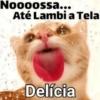 Sapecagem e Safadeza Gostosa 😈 10
