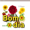 Bomdia 5