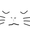 My cat 8