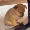 Memes Tristes😭😢🥺 23
