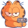 Gatitos 27