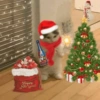 Natal cat. | @ocenferios Haki. 9