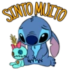 SINIO MULTO