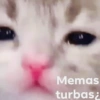 Memas
turbasi