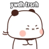 ywdh trsrh