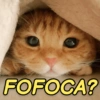 FOFOCA?