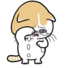 Kucing luthuu 6