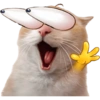Gatitos para el chat 🫪 2 13