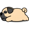🐾Pug🐾 8