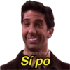 @friends.chile
Sí po