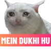 MEIN DUKHI HU
