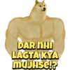 DAR NHI
LAGTA KYA
mujhse!?