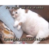 Si te doy 6