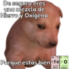 🐶Cheems Bebé🍼 17