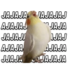 Memes pa’ Enviar 🔥🤡 9