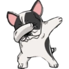 Dog salute 8