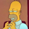 Os Simpsons  14