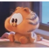 Gatitos 25