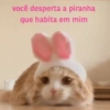 Sapecagem e Safadeza Gostosa 😈 11