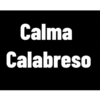 Frases aleatórios ironia 13 8