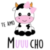 Textos Amor 💘 💕 16