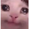 MEMEsTICKERS (1) 28