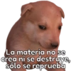 🐶Cheems Bebé🍼 12