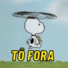 REAÇÕES AQUI👇🏼 🤣 13