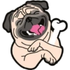 🐾Pug🐾 14