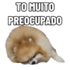Frases 13