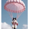 Gato / cat 12