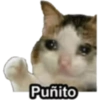 Puñito 🤓 10