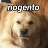 nogento