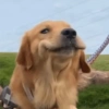 MOOD Random #7 8