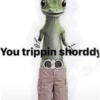 Tiktok kinda like stickers 29